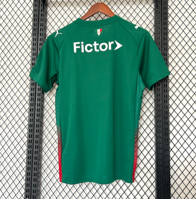 Palmeiras 2026 home shirt